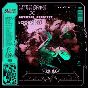 LITTLE SNAKE AND AMON TOBIN - "Loophole" (Single)
