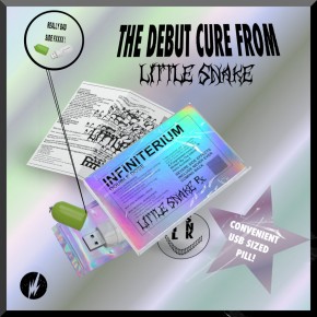 Little Snake - LIMITED USB EDITION: A Fragmented Love Story, Written By The Infinite Helix Architect